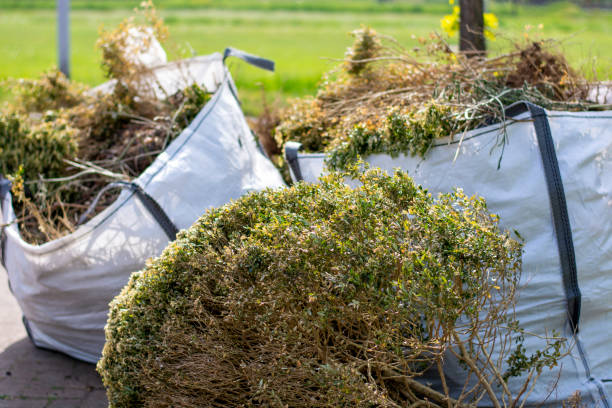 Best Construction Debris Removal  in Lillian, AL